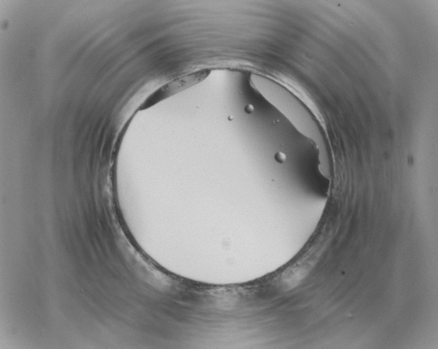 X0000077330906200611171804