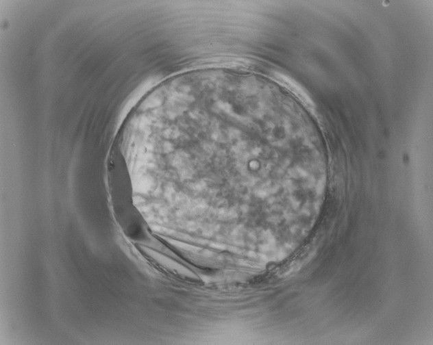 X0000077330907200611171804