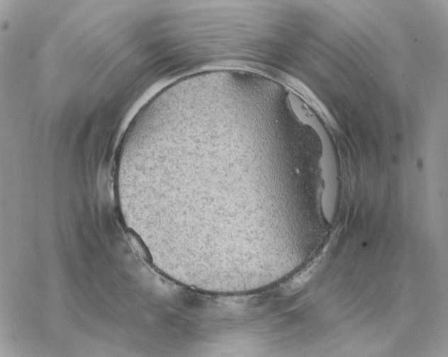 X0000077330908200611171804