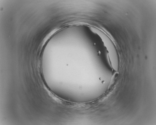 X0000077330909200611171804