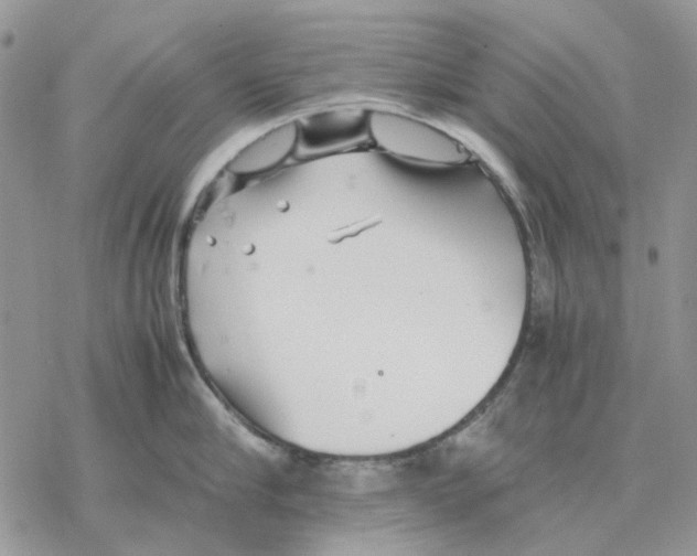 X0000077330910200611171804