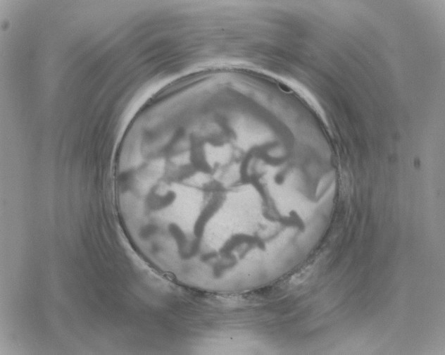 X0000077330911200611171804