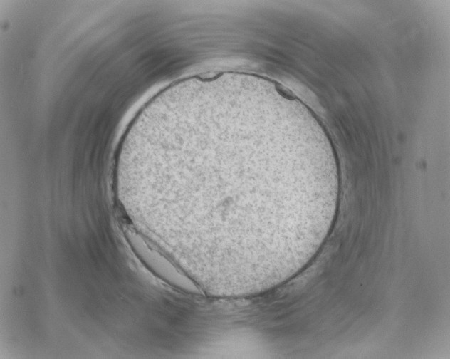 X0000077330912200611171804