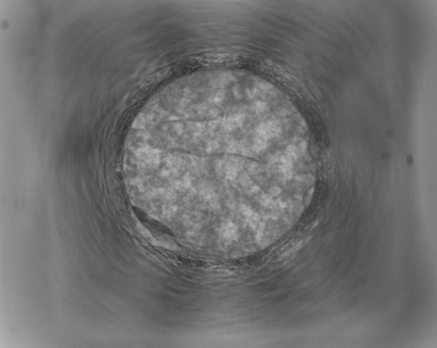 X0000077330913200611171803