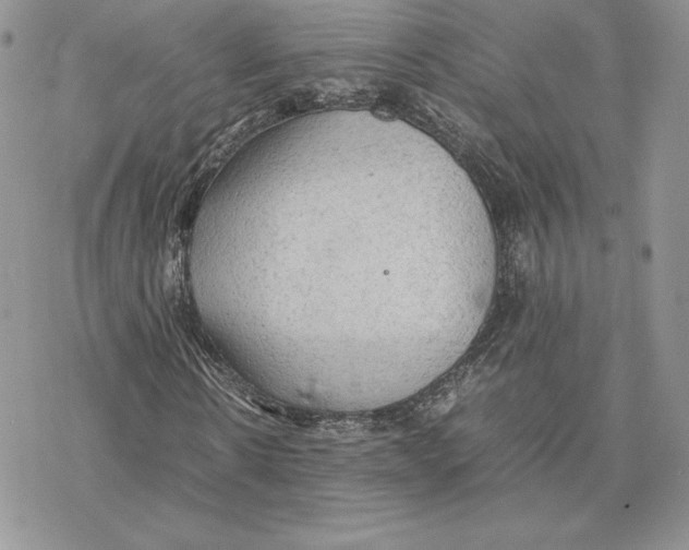 X0000077330914200611171803