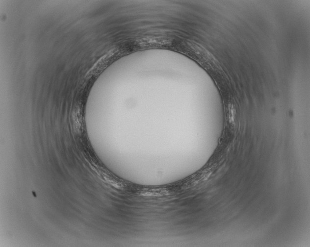 X0000077330915200611171803