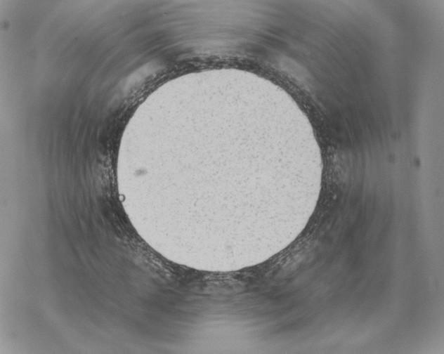 X0000077330918200611171803