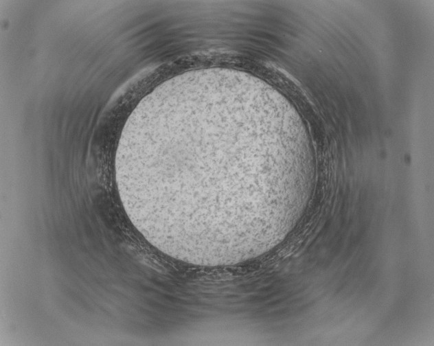 X0000077330919200611171803