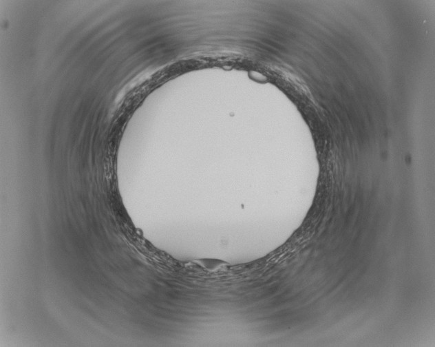 X0000077330920200611171803