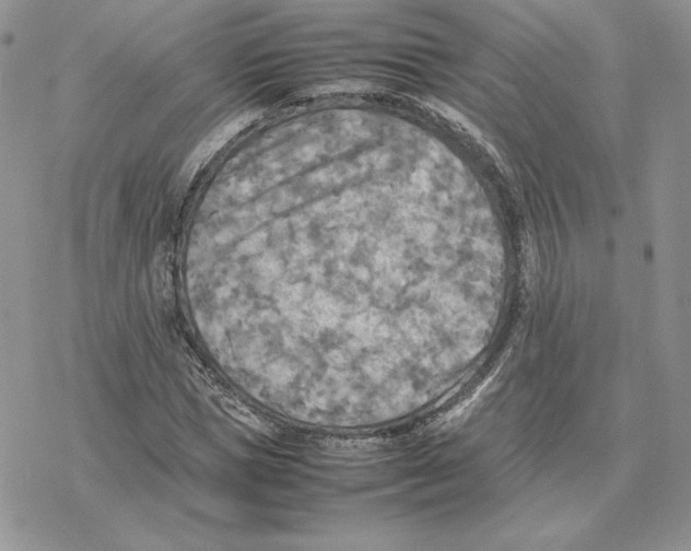 X0000077330921200611171803