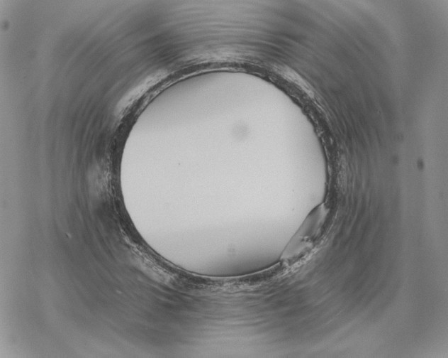 X0000077330922200611171803