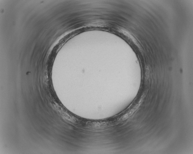 X0000077330923200611171803