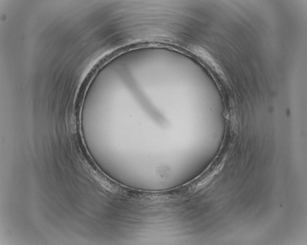 X0000077330924200611171804