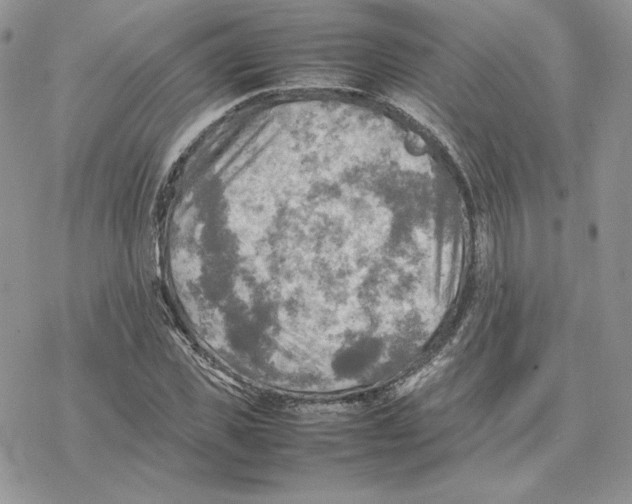 X0000077330925200611171804