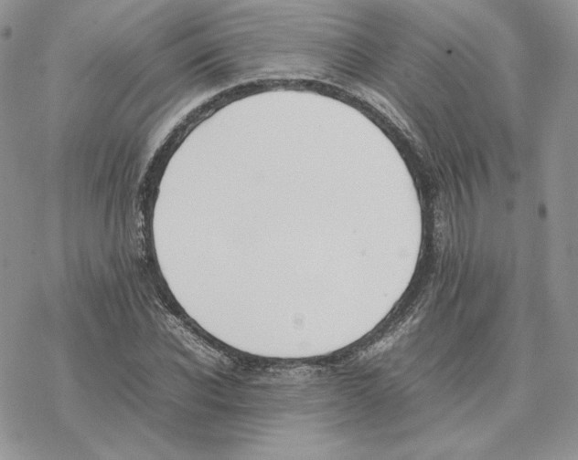 X0000077330926200611171804