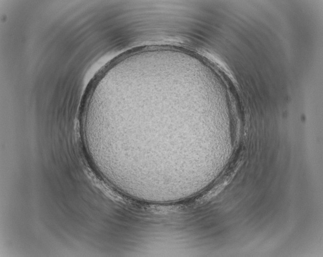 X0000077330928200611171804