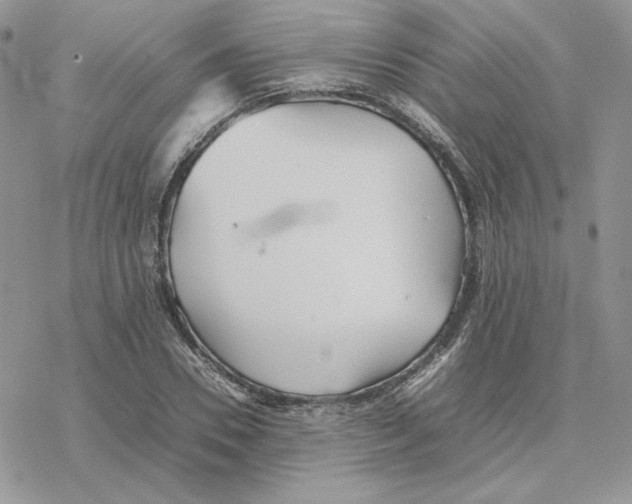 X0000077330930200611171804