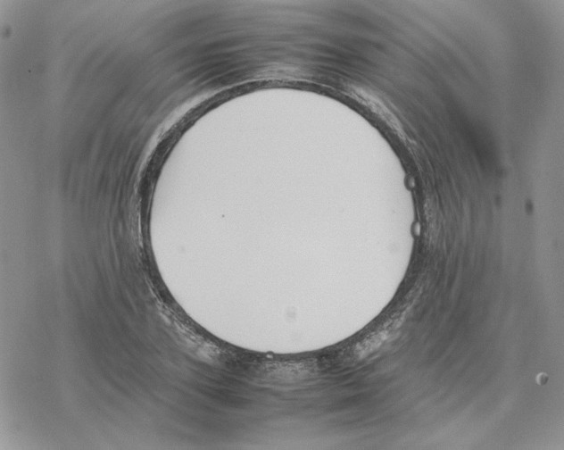 X0000077330931200611171804