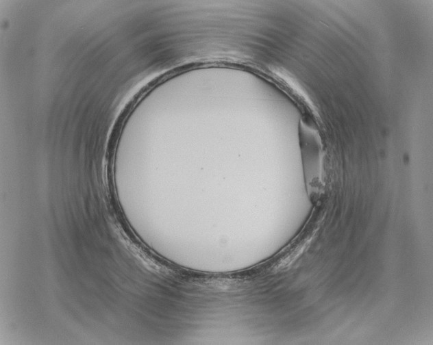 X0000077330932200611171804