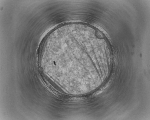 X0000077330933200611171804