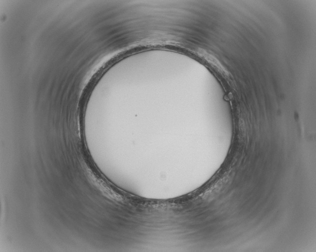 X0000077330934200611171804