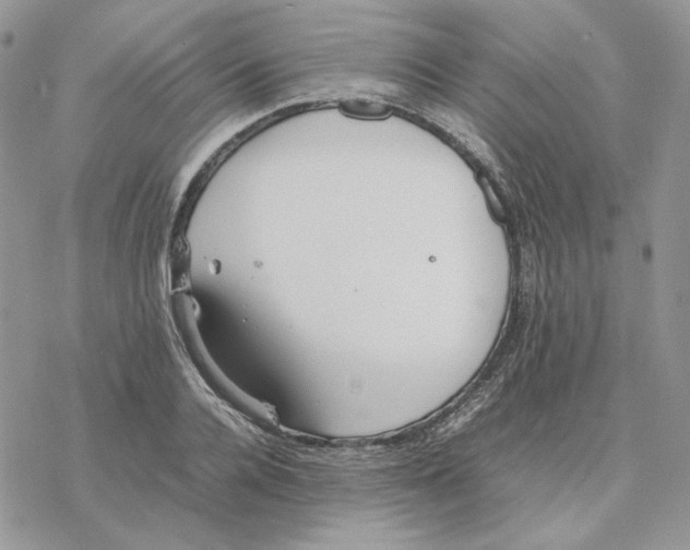 X0000077330936200611171804