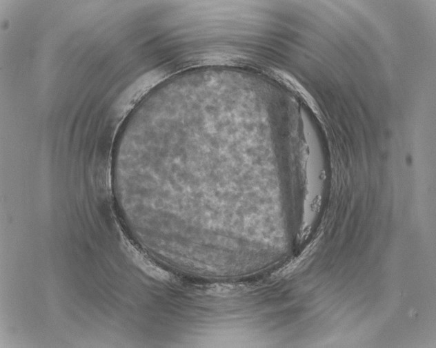 X0000077330938200611171804