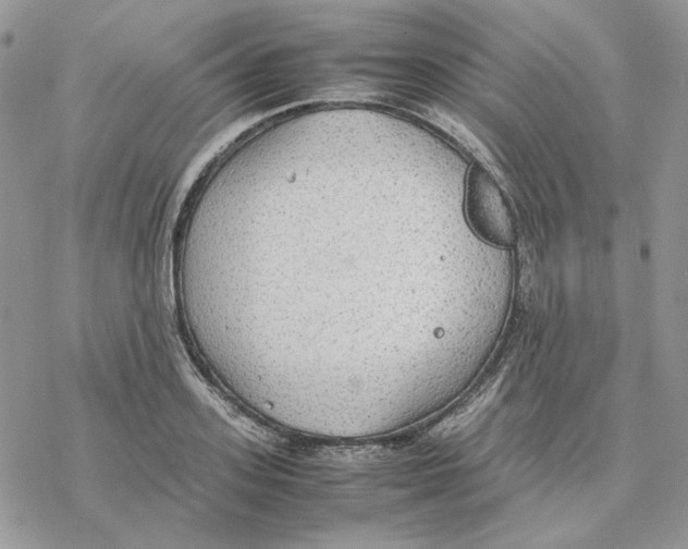 X0000077330939200611171804