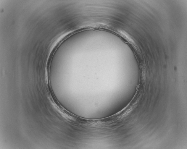 X0000077330940200611171804