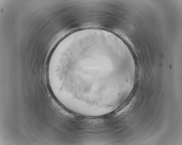 X0000077330941200611171804