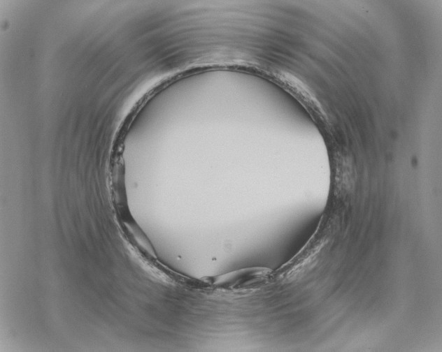 X0000077330942200611171804