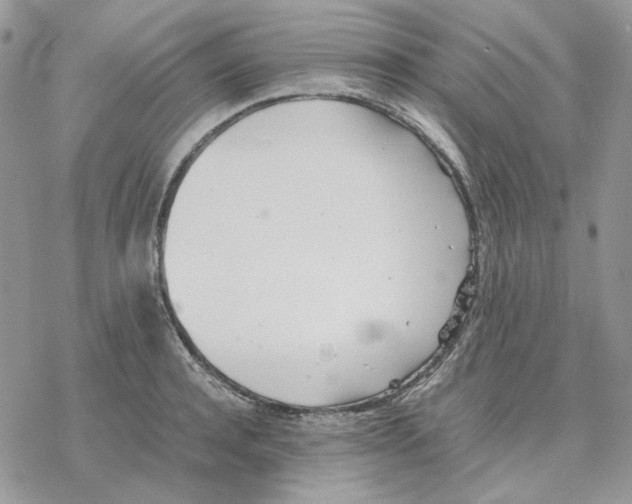 X0000077330944200611171804