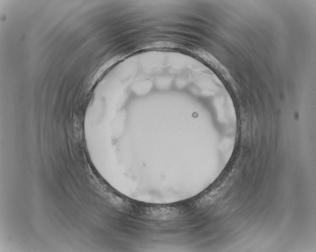 X0000077330945200611171804