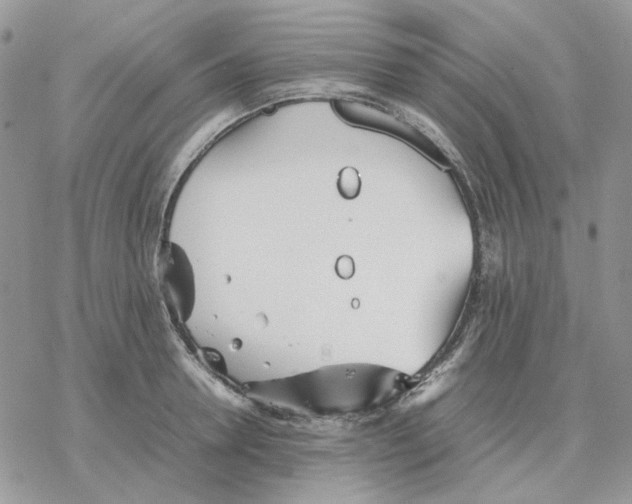 X0000077330946200611171804