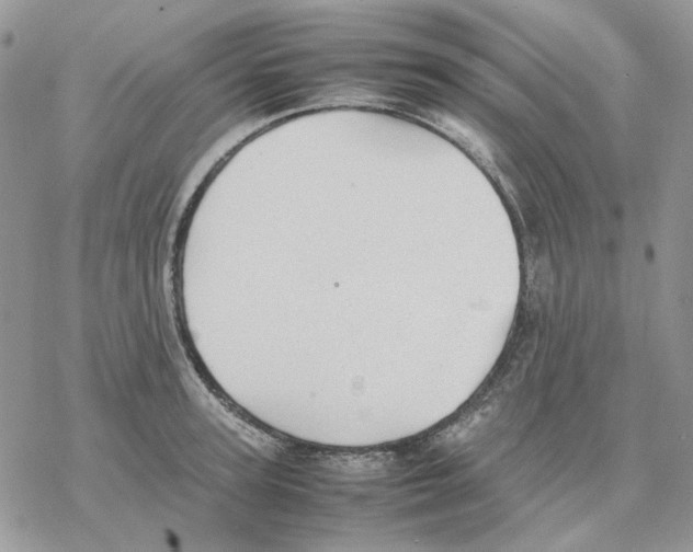 X0000077330947200611171804