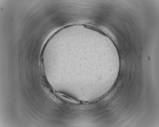 X0000077330948200611171804