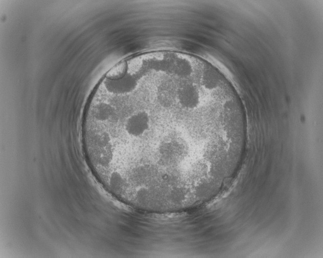 X0000077330949200611171804