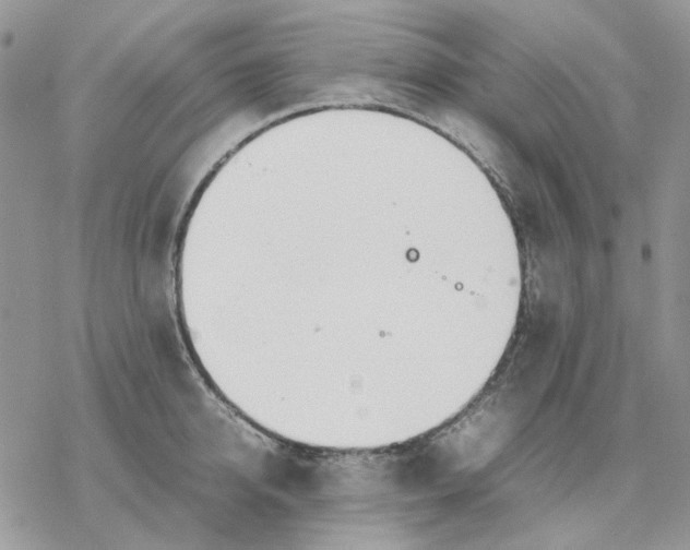 X0000077330950200611171804