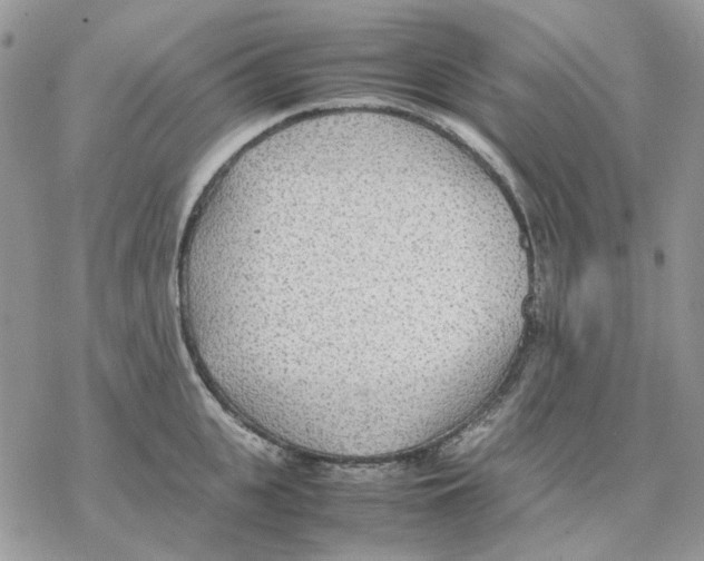 X0000077330951200611171804