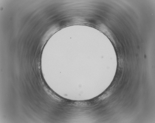 X0000077330954200611171804