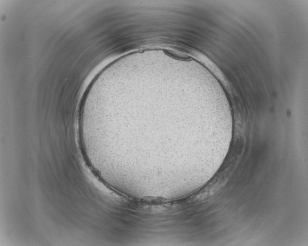 X0000077330955200611171804