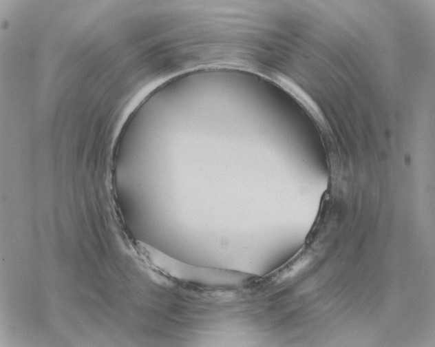 X0000077330956200611171804