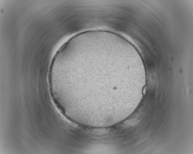 X0000077330959200611171804