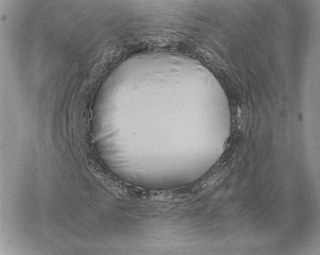 X0000077330961200611171803