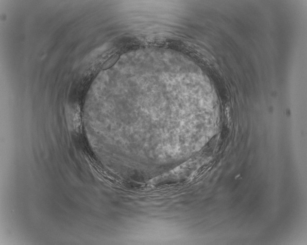 X0000077330963200611171803