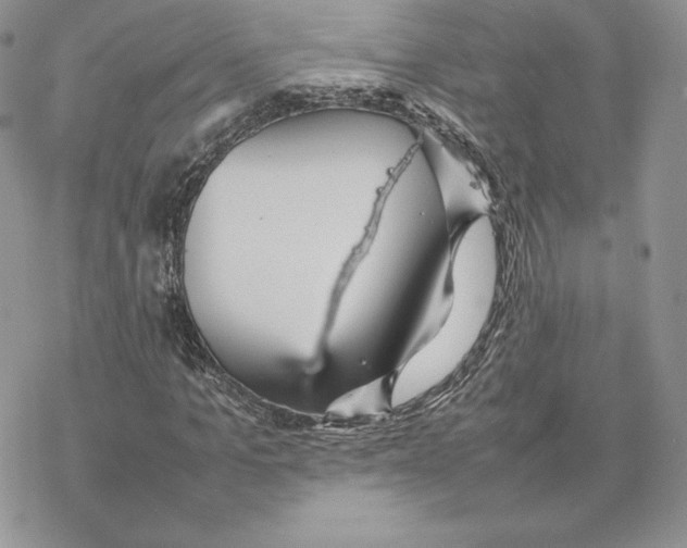 X0000077330965200611171803