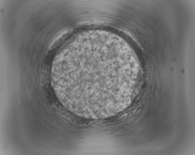 X0000077330967200611171803