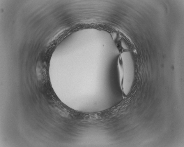 X0000077330968200611171803