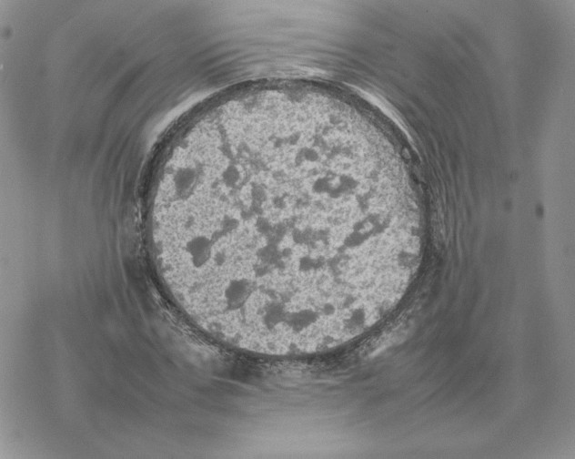 X0000077330971200611171803