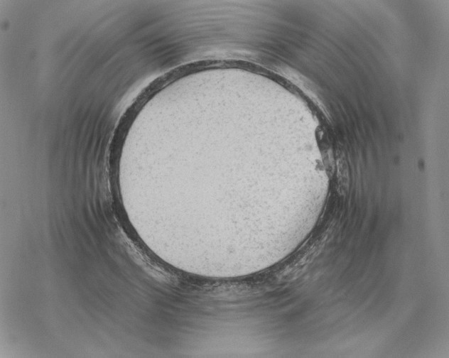 X0000077330972200611171803